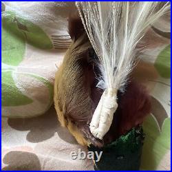 Antique Edwardian Hat Bird of Paradise Feathers Taxidermy Millinery Bird 1900s