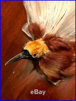 Antique Edwardian Hat Feathers Millinery Bird Of Paradise