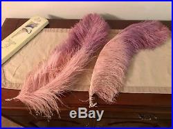 Antique Millinery Feathers/Pink Lilac Ombre Ostrich Plumes