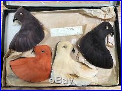 Antique Millinery Hat Bird Pigeon Heads Taxidermy Germany