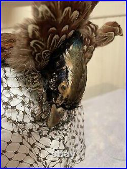 Antique Pheasant Feathers-netting Ladies Hat