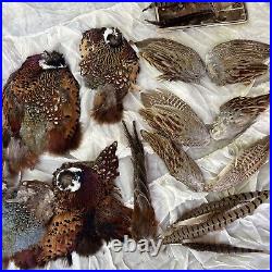 Antique large Lot Millinery Feathers Wings Dresses Fashion Hats Appliqué Vintage