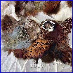Antique large Lot Millinery Feathers Wings Dresses Fashion Hats Appliqué Vintage