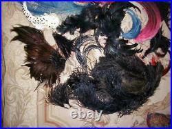 Large Lot Antique Edwardian Plumes Feathers Ostrich Coque Millinery Flowers