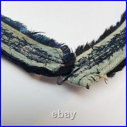 Stunning Iridescent Pheasant Feather Hawaiian Lei Hat Band Width 1 Length 25.5