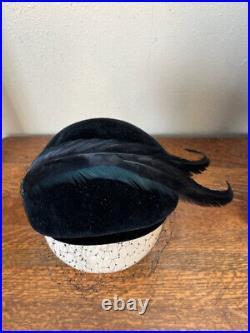 VTG Dawson's Black Velvet 2 Pheasant Feathers Oval Tilt Hat / 1940s Cocktail Hat