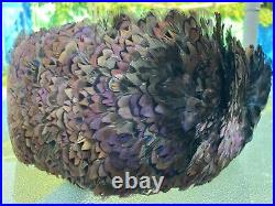 Vintage Brown Purple Rustic Striped Peacock Wild Pheasant Feather 27Hat Band