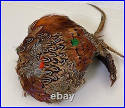 Vintage Dramatic Fascinator Hat Pheasant Feathers & Talon 1950s YY458