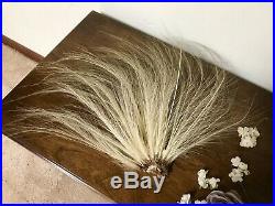 Vintage Millinery Feathers Rare Egret Spread XL Aigrette Feathers Edwardian