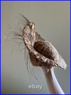 Vintage woman's brown feathers hat. Brand Allrigio New York