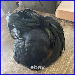 Vtg 30s Fascinator Original Black Parrot Hats Real Feathers Millinery York Withbox