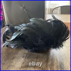 Vtg 30s Fascinator Original Black Parrot Hats Real Feathers Millinery York Withbox