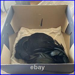 Vtg 30s Fascinator Original Black Parrot Hats Real Feathers Millinery York Withbox